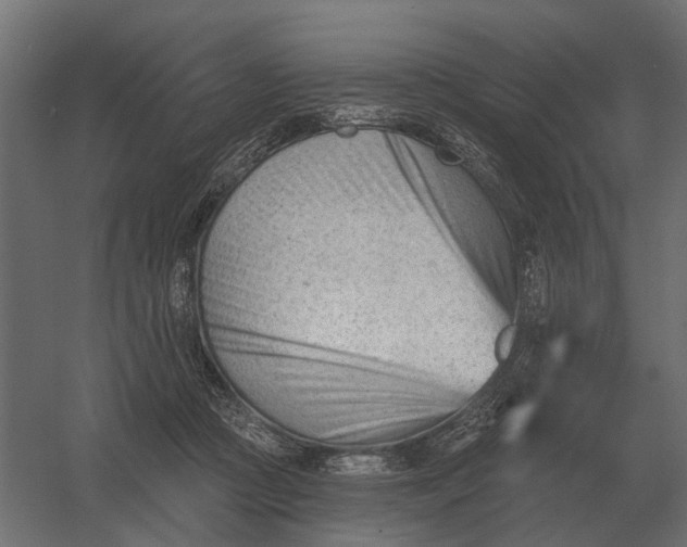 X0000052940361200507300024