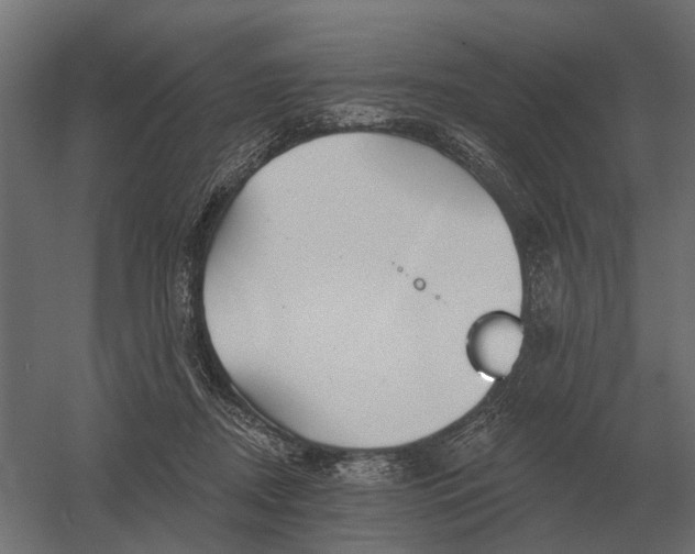 X0000052940362200507300024