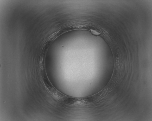 X0000052940364200507300024