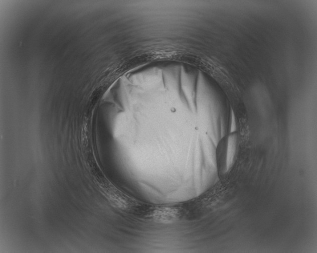 X0000052940369200507300024