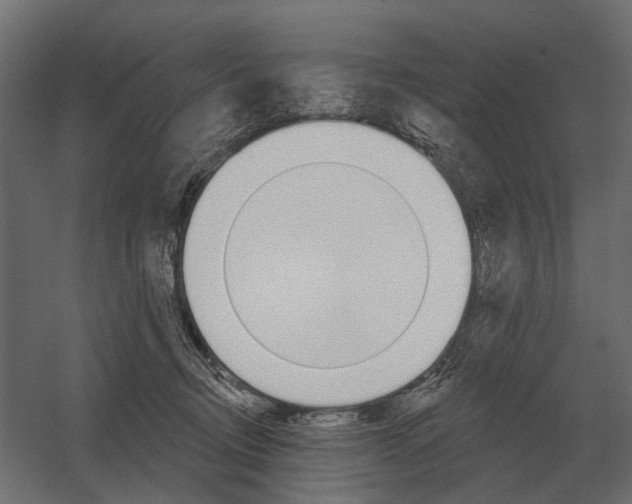 X0000052940370200507300024