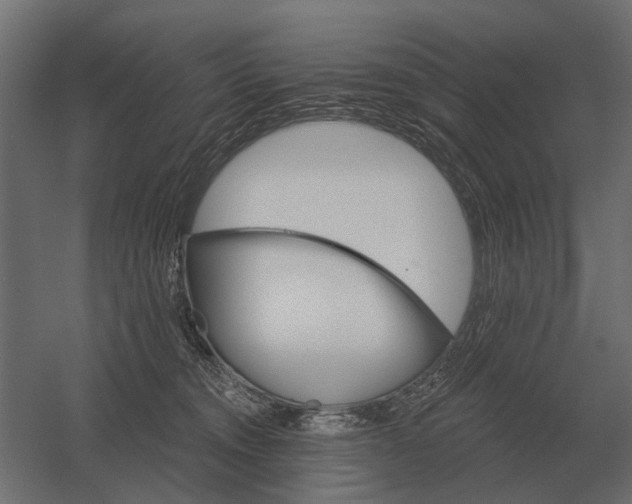 X0000052940372200507300024