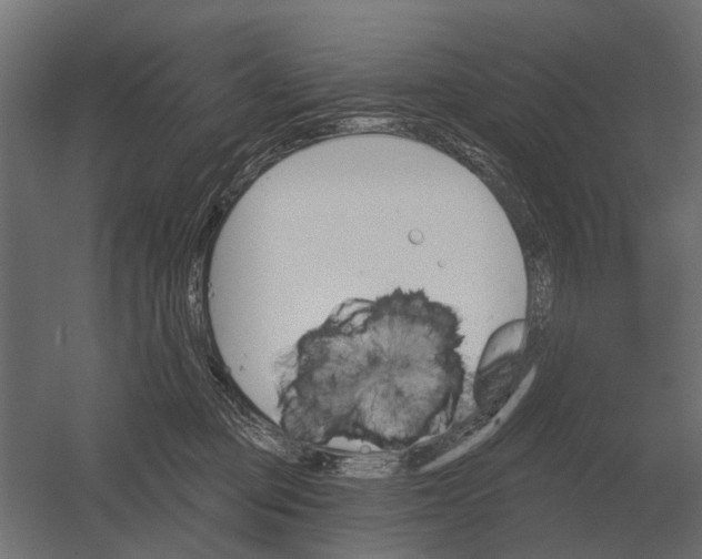 X0000052940373200507300024