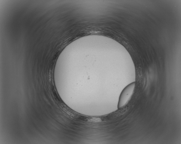 X0000052940374200507300024