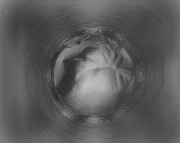 X0000052940375200507300024