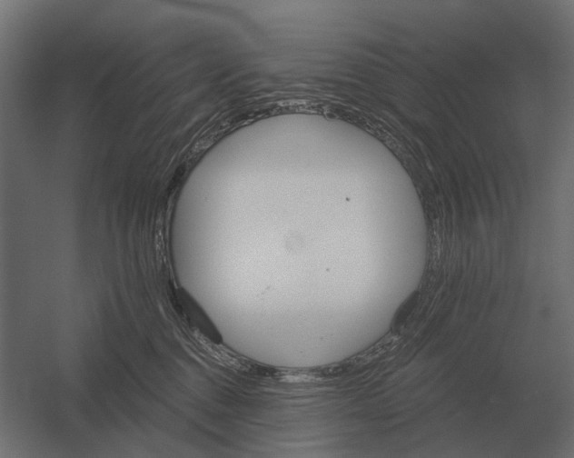 X0000052940376200507300025