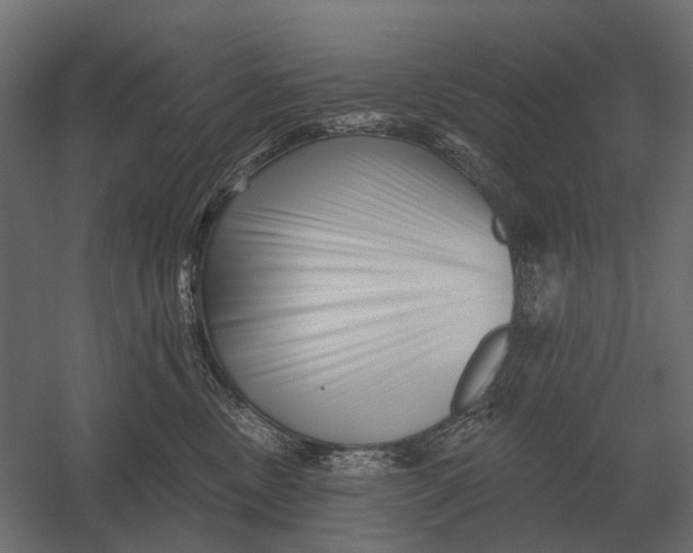 X0000052940378200507300025