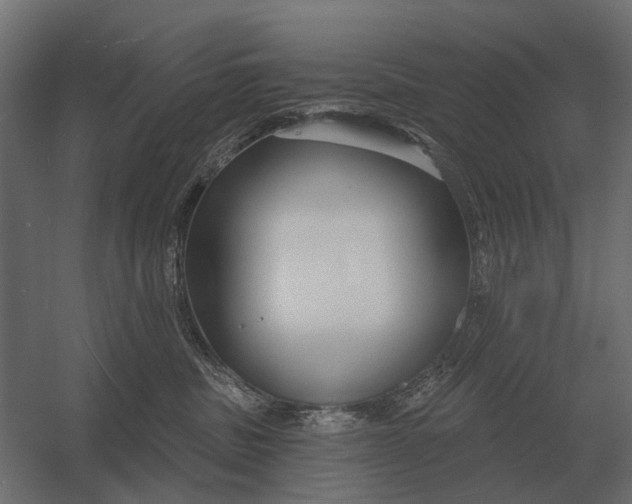 X0000052940379200507300025