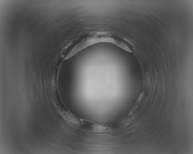 X0000052940380200507300025