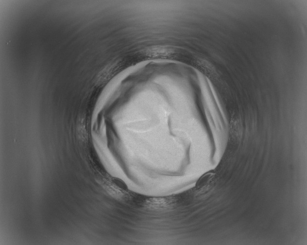 X0000052940381200507300025