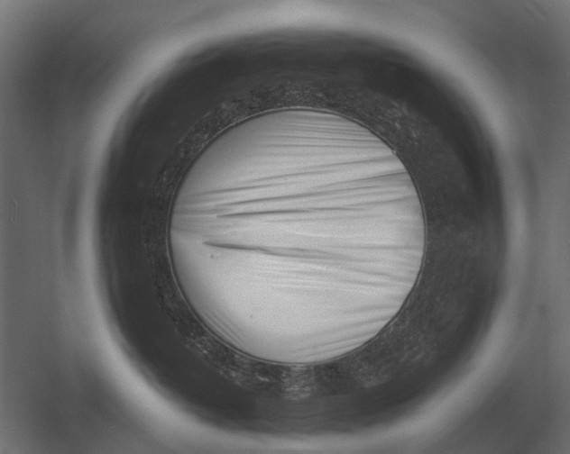 X0000052940382200507300025