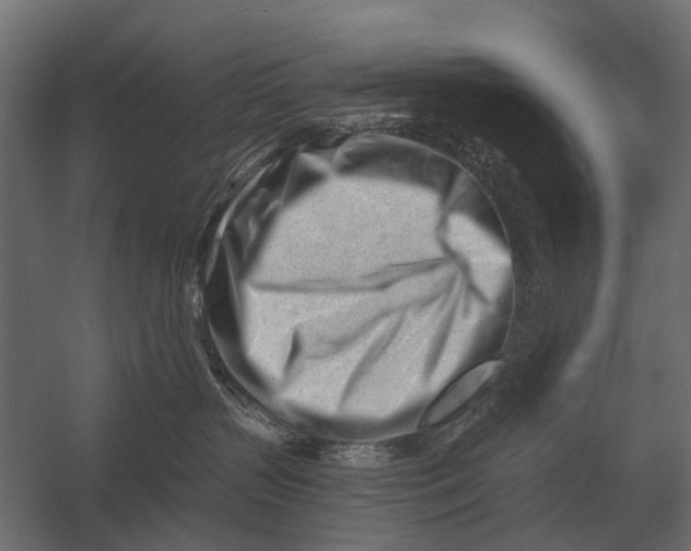 X0000052940383200507300025