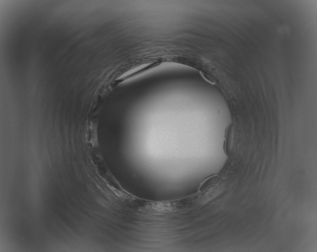 X0000052940384200507300025