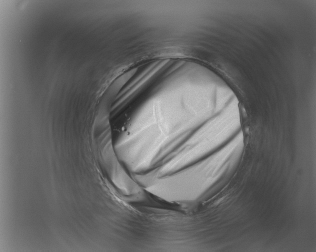 X0000052940385200507300024