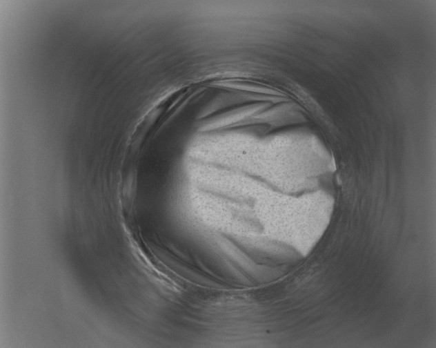 X0000052940386200507300024