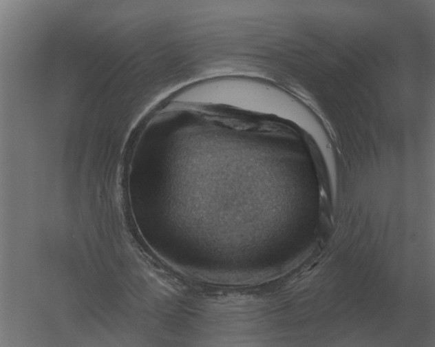 X0000052940387200507300024