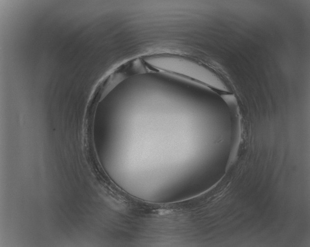 X0000052940388200507300024