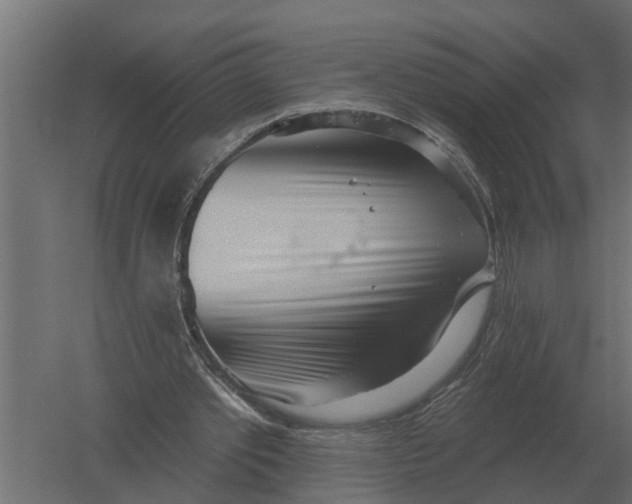 X0000052940389200507300024