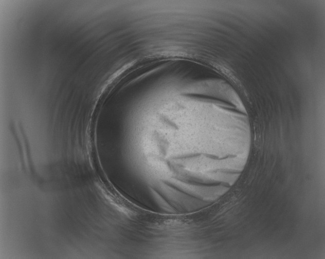 X0000052940390200507300024