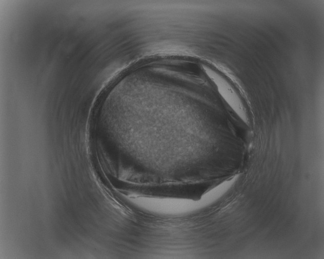 X0000052940391200507300024