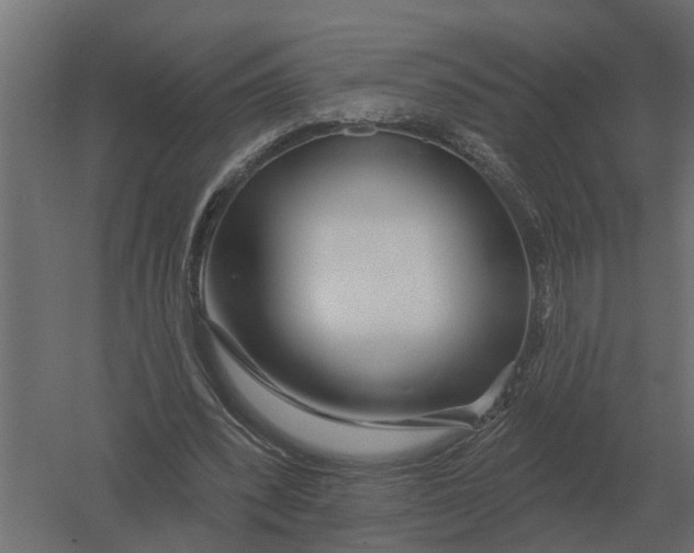 X0000052940392200507300024