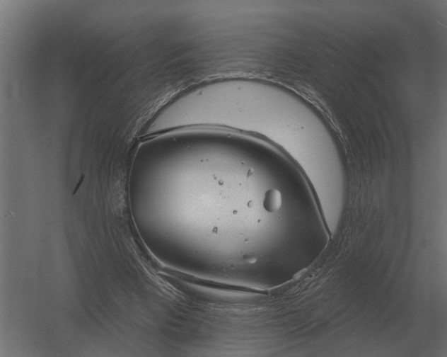 X0000052940393200507300024