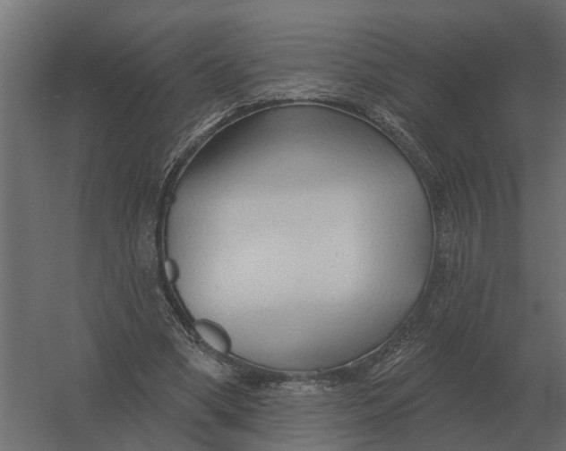 X0000052940394200507300024