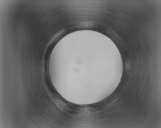 X0000052940396200507300024