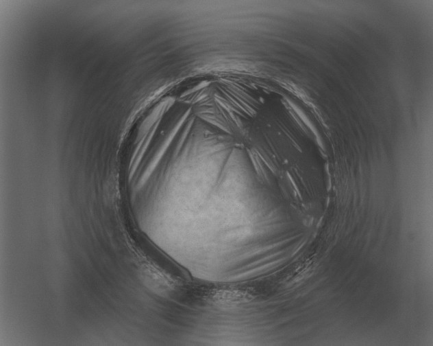 X0000052940399200507300024