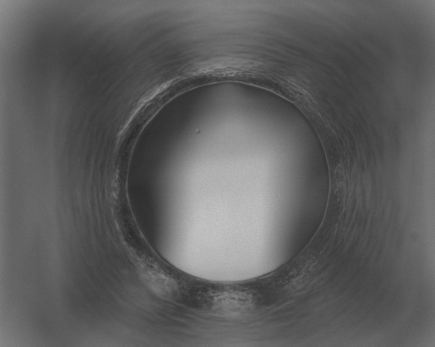 X0000052940400200507300024