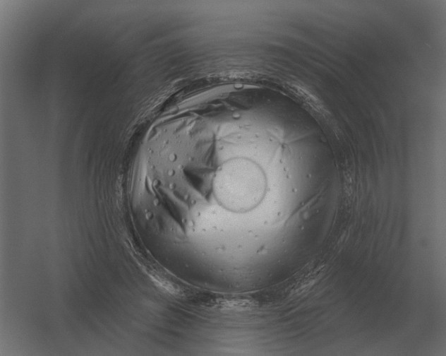 X0000052940401200507300024