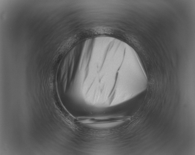 X0000052940402200507300024