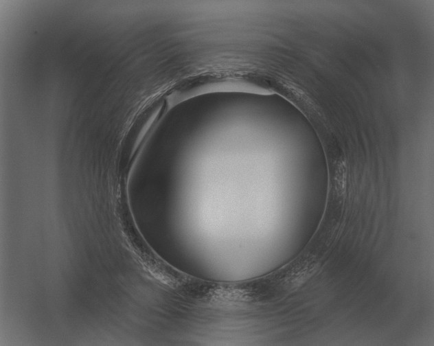 X0000052940403200507300024