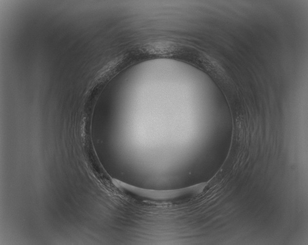 X0000052940404200507300023