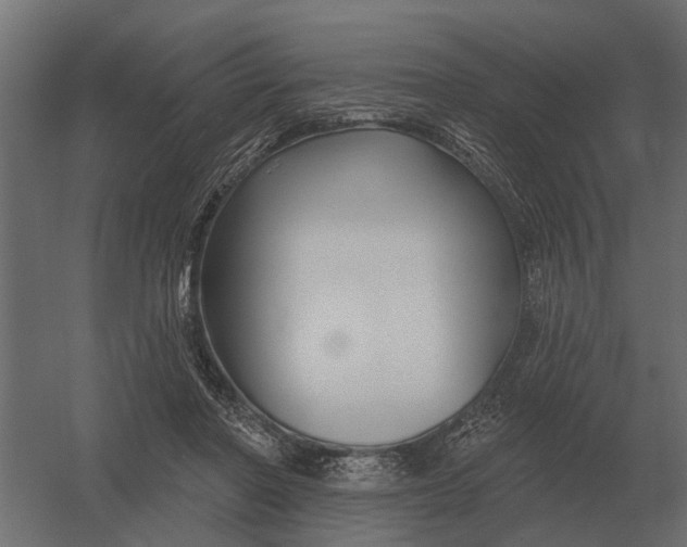 X0000052940406200507300023