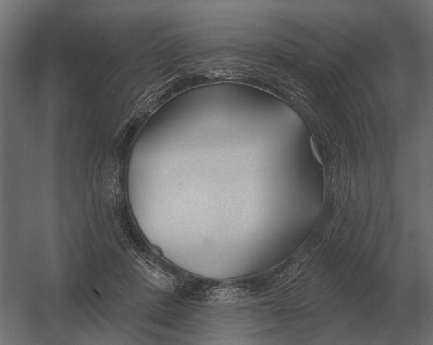 X0000052940408200507300023