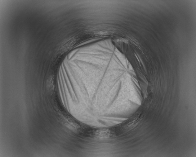 X0000052940410200507300023