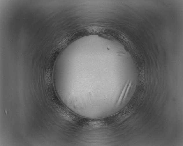 X0000052940411200507300023