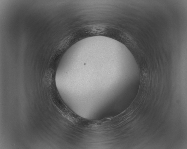 X0000052940412200507300023