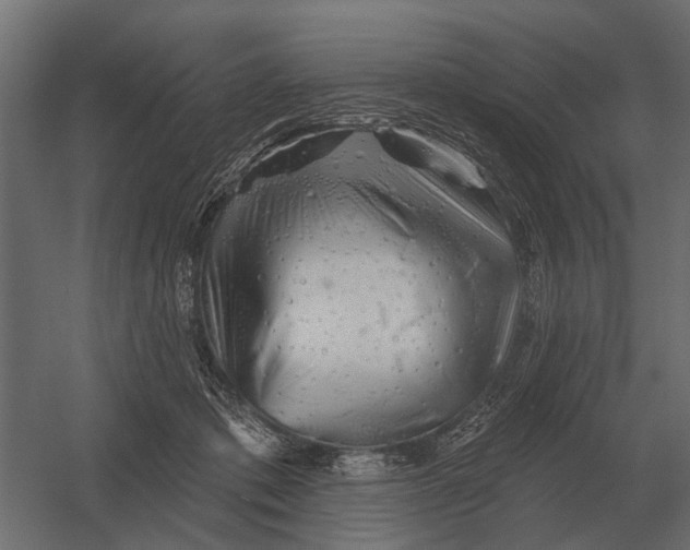 X0000052940413200507300023