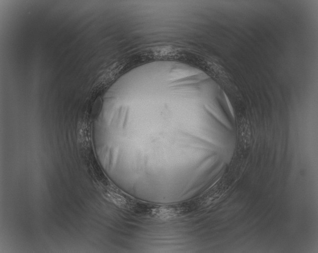 X0000052940419200507300023