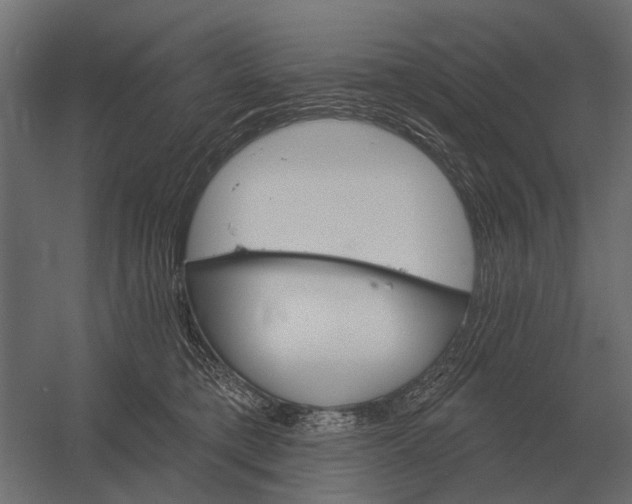 X0000052940421200507300023