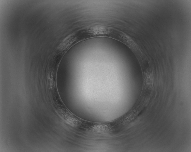 X0000052940422200507300023