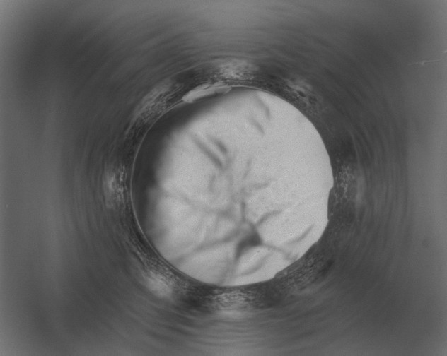 X0000052940423200507300023