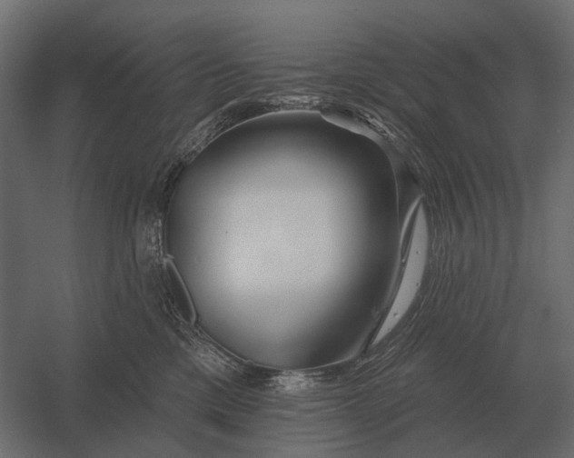 X0000052940425200507300023