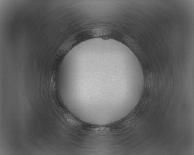 X0000052940426200507300023