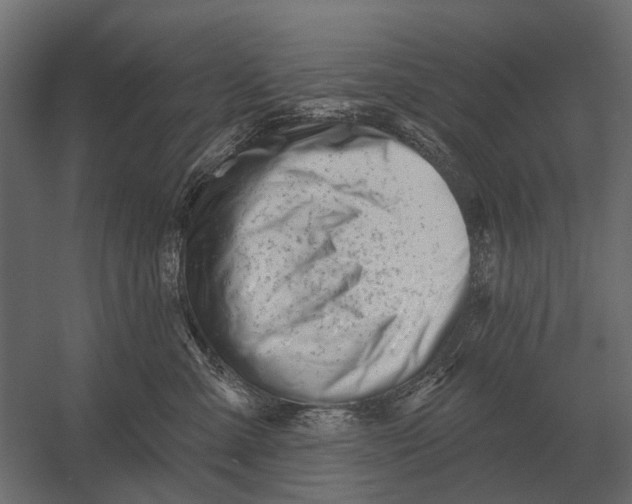 X0000052940427200507300023