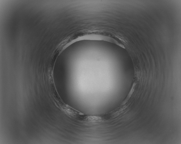 X0000052940429200507300023