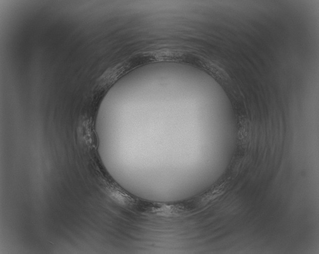 X0000052940430200507300023