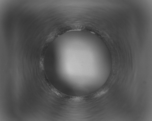 X0000052940432200507300023